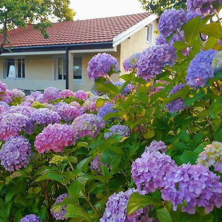 Cvjetni Apartmani Цетине Экстерьер фото