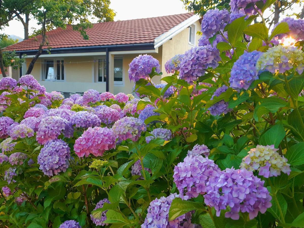 Cvjetni Apartmani Цетине Экстерьер фото